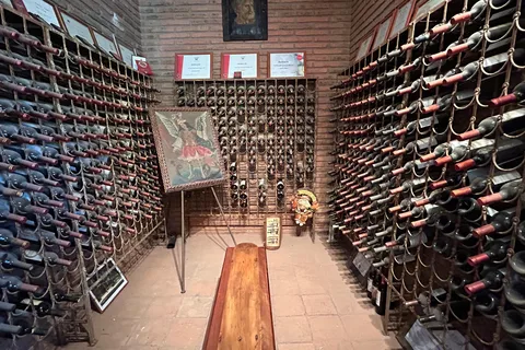 Tres Palacios Vineyard Tasting Tour - Melipilla