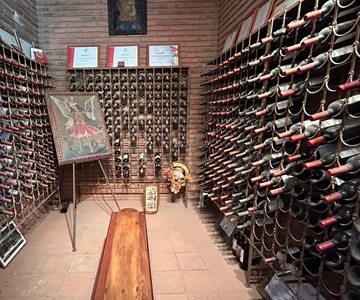 Tres Palacios Vineyard Tasting Tour - Melipilla