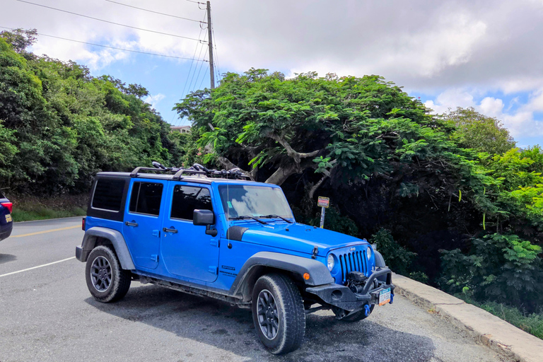 St. Thomas: Customizable Half-Day Tour with Snorkeling