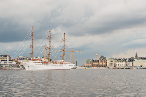 Stockholm: rondvaart onder de bruggen door