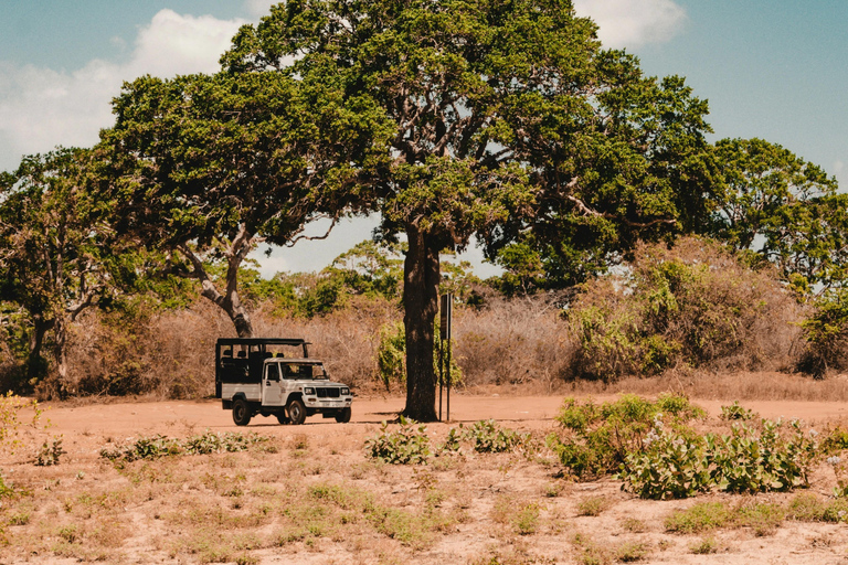 Sri Lanka: 8-Day Adventure & Culture Tour with Rafting