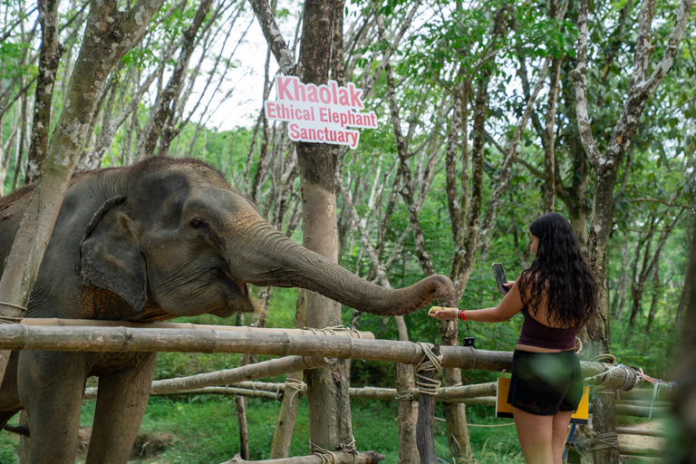 Khao Lak’s Best: Elephant Sanctuary,Rubber Tapping&Waterfall Khaolak Elephant Sanctuary Guided Tour with Hotel Transfers