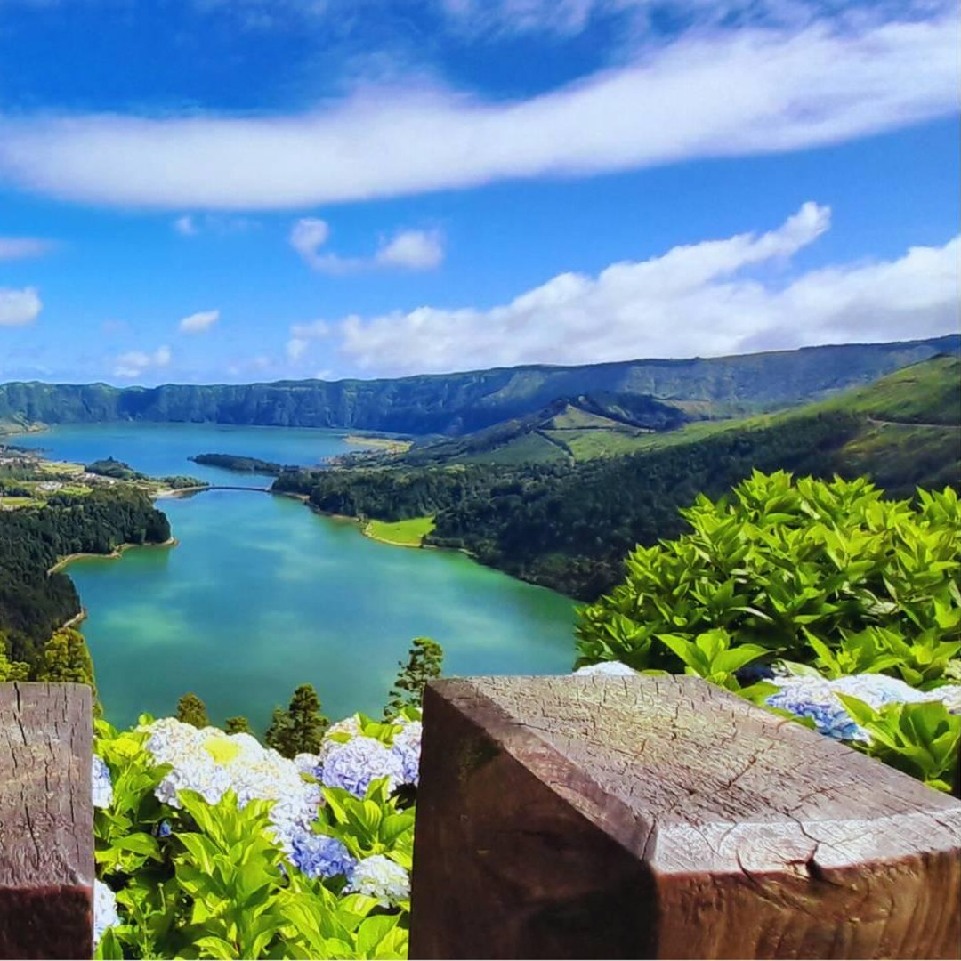 Colagem de mídia