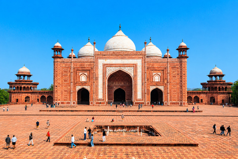 From Delhi: Golden Triangle Private Tour with Safari 7-days Golden Triangle Tour without Hotels & Tickets