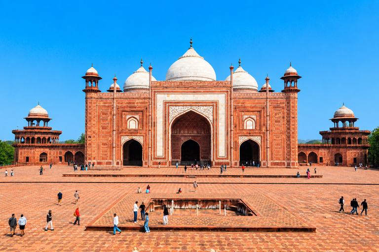 From Delhi: Golden Triangle Private Tour with Safari 7-days Golden Triangle Tour without Hotels & Tickets