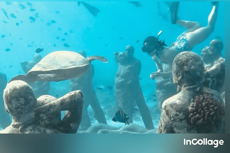 Gili eiland : Groep/Share Snorkeltour 3 gili eilandenGroep/Share Snorkeltour per Glazen Bodem Boot