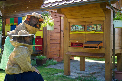 Enjoy a beekeeping experience in Ljubljana