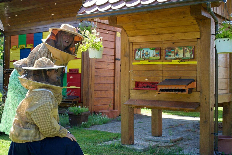 Enjoy a beekeeping experience in Ljubljana