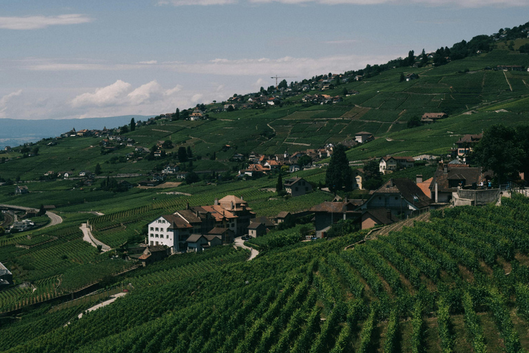 Lavaux Wine and Vineyard Experience with Boat Cruise