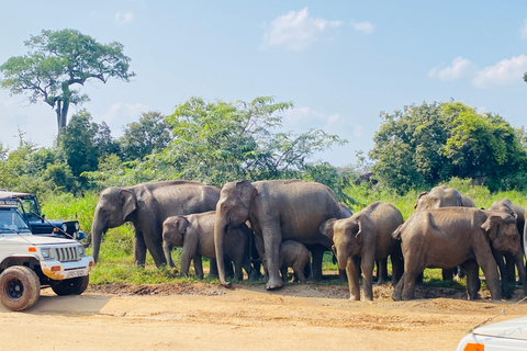 Trincomalee: Ritigala Forest monastery & lake boat day tour Trincomalee: Ritigala hidden Forest &relaxing boat tour