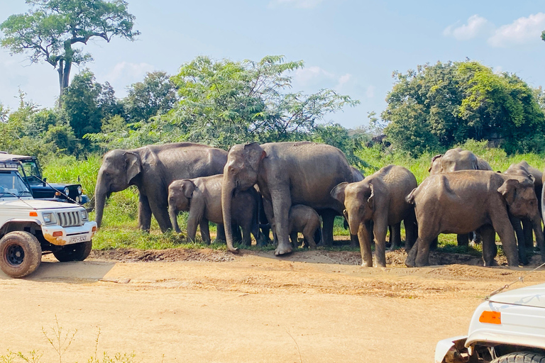 Trincomalee: Ritigala Forest monastery & lake boat day tour Trincomalee: Ritigala hidden Forest &relaxing boat tour