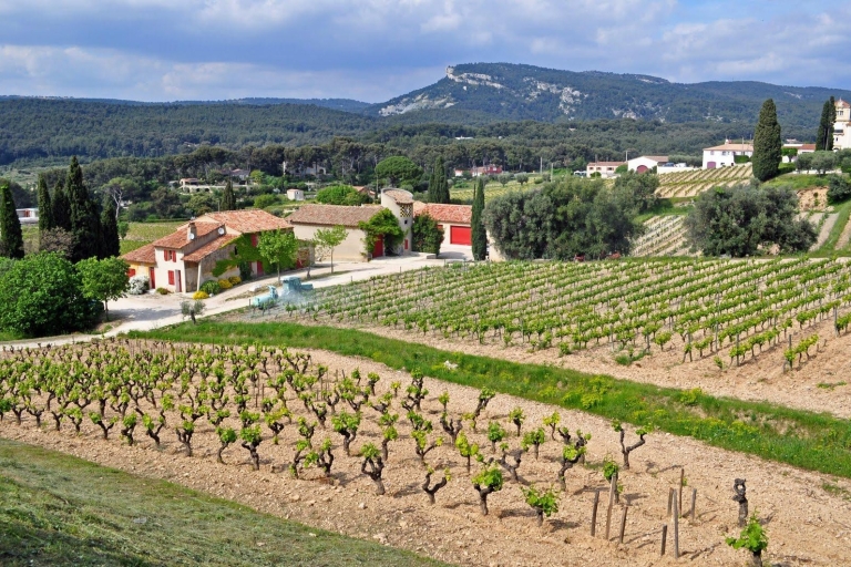 Dagtocht, het beste van PROVENCE: Aix-en-Provence & Cassis