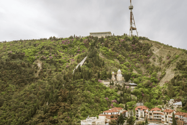 Tbilisi: Mtatsminda Pantheon Guided Tour