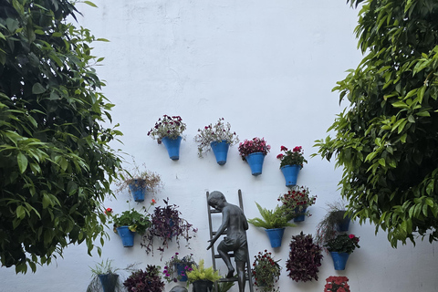 Cordoue : visite de la mosquée-cathédrale, du pont romain et du quartier juif.Cordoue : visite guidée de la mosquée-cathédrale, du pont romain et du quartier juif.