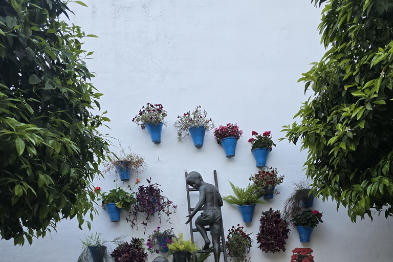 Cordoue : visite de la mosquée-cathédrale, du pont romain et du quartier juif.Cordoue : visite guidée de la mosquée-cathédrale, du pont romain et du quartier juif.