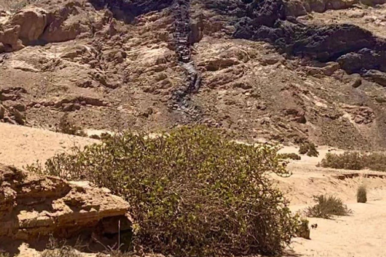 Walvis Bay: Cruiseliner Excursions