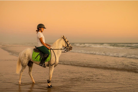 Qatar Desert Trails: Horse Ride & Dune Buggy Adventure