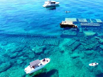 Korčula - Private Boat Tour - Swimming & Snorkeling