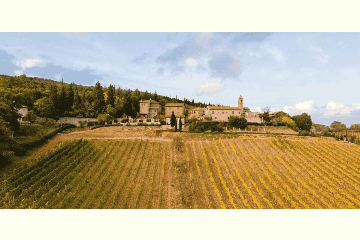 Сан-Джиминьяно: Дегустация вин в Иль Коломбаио