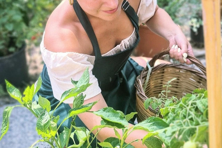 Rhodes: 1952 Farmhouse Cooking & Lunch with Unlimited Wine Rhodes: Cooking Class & Lunch at a traditional Farmhouse