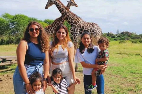 Mombasa: Half-Day Haller Park Giraffes Feeding Experience