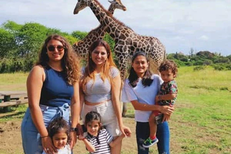 Mombasa: Half-Day Haller Park Giraffes Feeding Experience