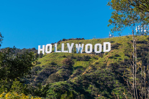 Los Angeles: Hollywood and Beverly Hills Open-Air Bus Tour