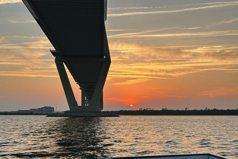 Charleston: Rejs w poszukiwaniu delfinów z Shem Creek