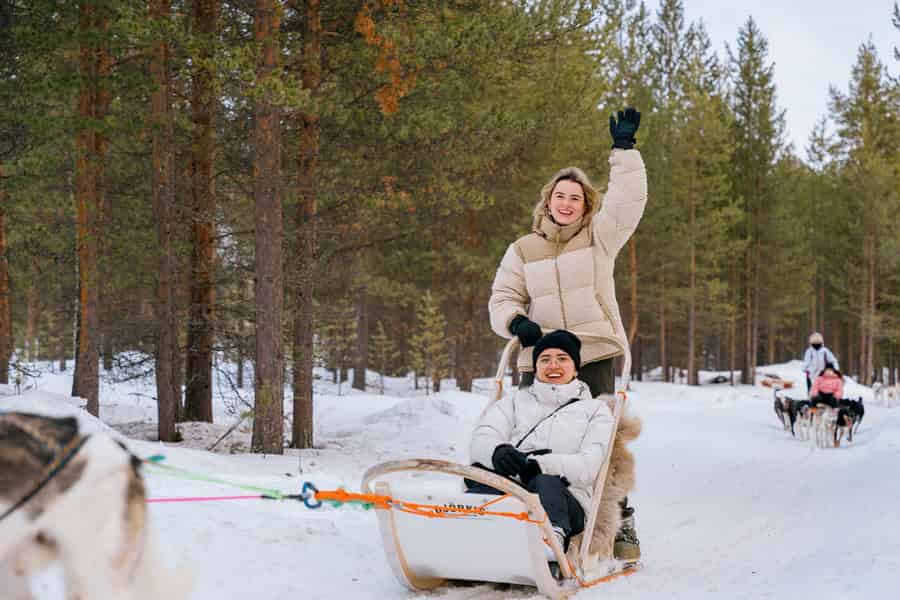 Saariselkä: Husky Safari mit Zwingerbesuch. Foto: GetYourGuide Saariselkä: Husky Safari mit Zwingerbesuch. Foto: GetYourGuide