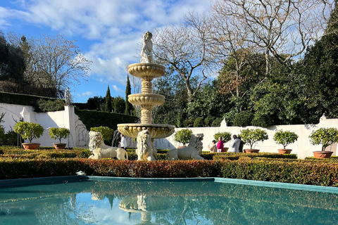 GROTTES DE RUAKURI ET JARDINS DE HAMILTON - Excursion d&#039;une journée au départ d&#039;AucklandGROTTES DE RUAKURI ET JARDINS HAMILTON - Excursion d&#039;une journée au départ d&#039;Auckland