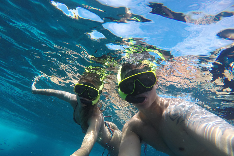 Rio: Schnorcheln & Schwimmen mit Schildkröten Tour auf den Tijuca Inseln3 Stunden Schnorcheln und Schwimmen mit Schildkröten Tour auf den Tijuca Inseln