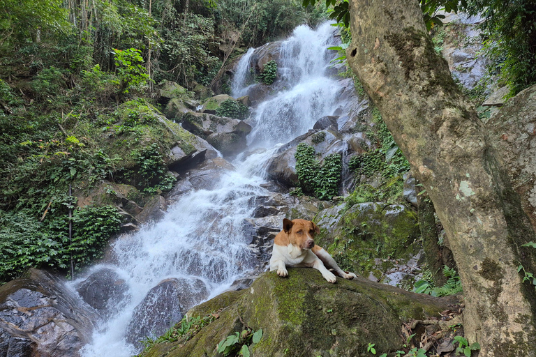 Chiang Rai: 2-Day Jungle Trek only walk with Waterfall