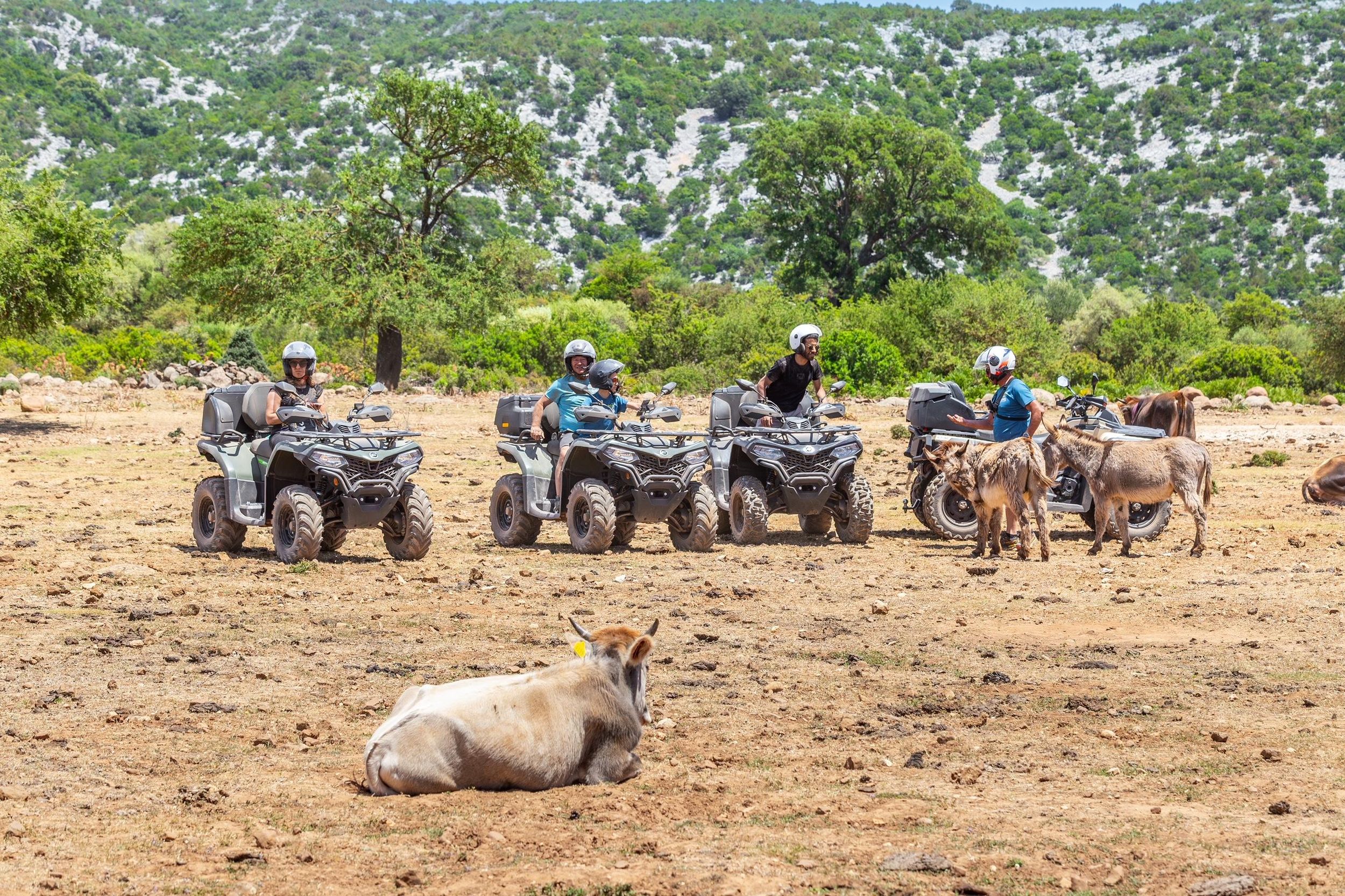 Ausflug mit dem Quad von Baunei nach Cala Sisine