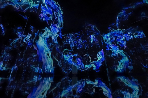 Abu Dhabi: teamLab Phenomena Entry Ticket