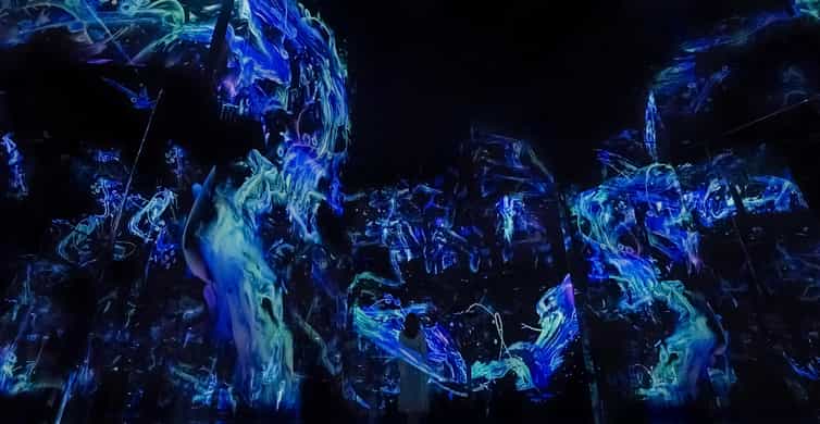 Abu Dhabi: teamLab Phenomena Entry Ticket photo 8