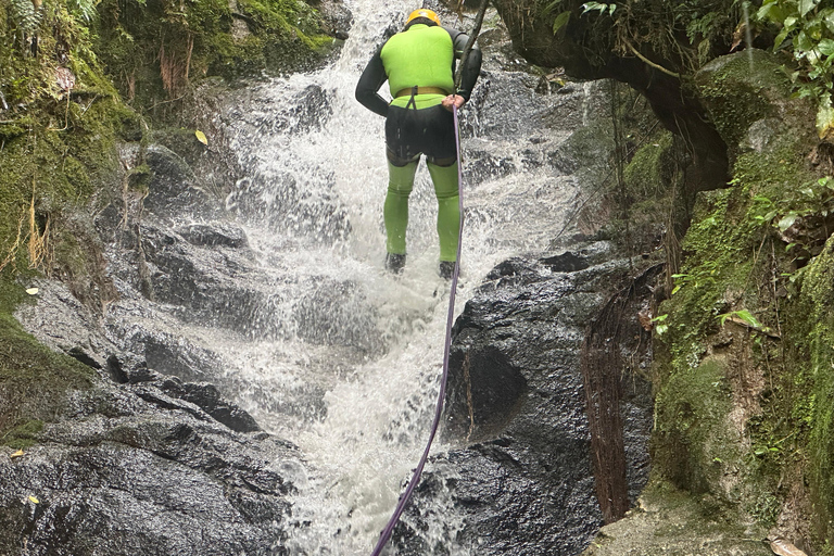 ميديلين: جولة نصف يوم للنزول إلى الشلالات الرائعة.