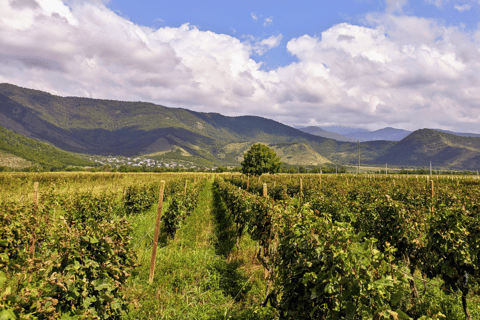 From Tbilisi: Kakheti, Sighnaghi, Bodbe Monastery, Telavi Shared Group Tour