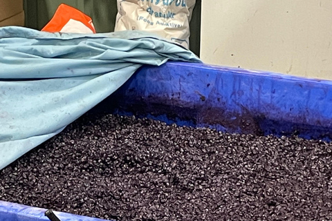 San Antonio: Fredericksburg Wineries Day Trip with Tastings Tour in English