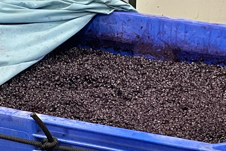 San Antonio: Fredericksburg Wineries Day Trip with Tastings Tour in English