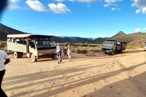 Cape Town Aquilla big sunset safari With transport & food aquila sunset bestseller