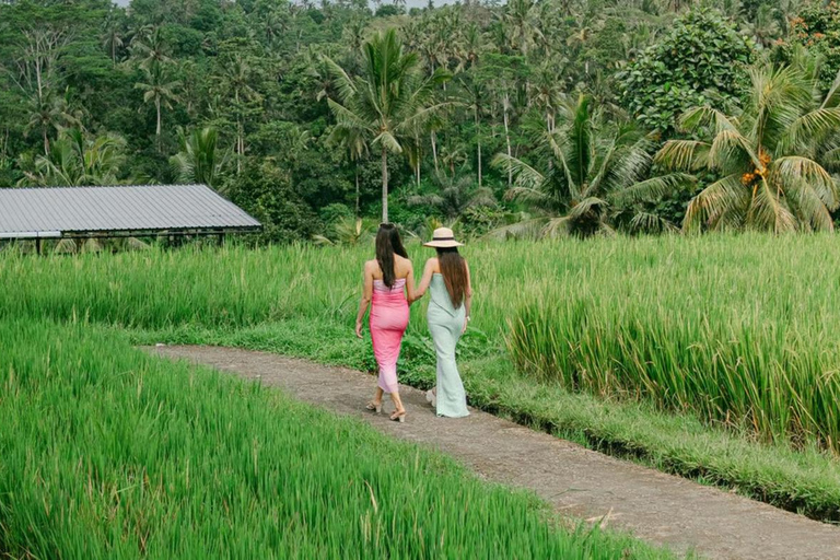 Alas Tirta: Bali Swing, Zipline & Hidden Waterfall - Ubud One Swing Package