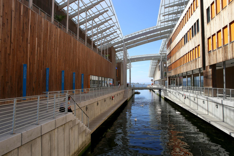 Oslo Old Town Country History Private Guided Walking Tour 2-hour: Old Town Tour
