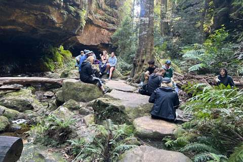 Sydney: Blue Mountains Guided Hike with Lunch & Pickup