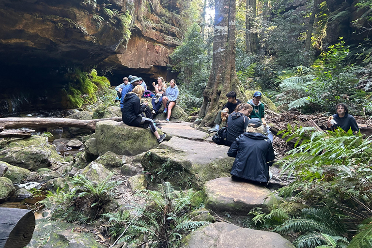 Sydney: Blue Mountains Guided Hike with Lunch & Pickup