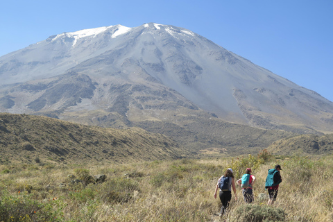 Caminhada de meio dia em Arequipa ao Vulcão MistiCaminhada de meio dia em Arequipa até o Vulcão Misti