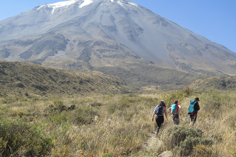 Caminhada de meio dia em Arequipa ao Vulcão MistiCaminhada de meio dia em Arequipa até o Vulcão Misti