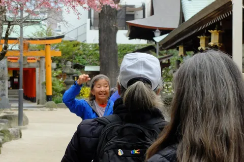 Kyoto: hoogtepunten van de stad met een gids