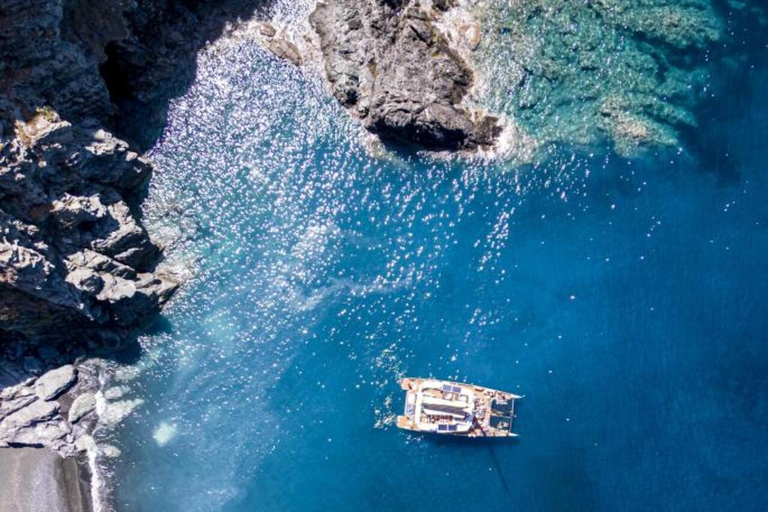 Excursión de medio día en catamarán