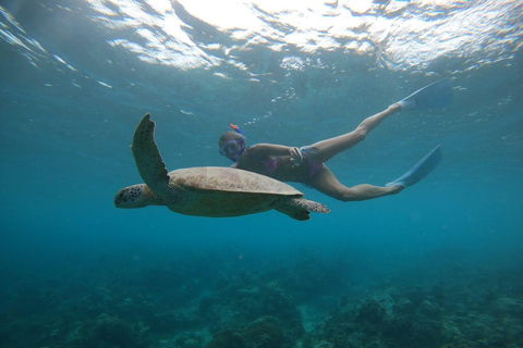 Gili Trawangan: Private Snorkeling 4 Spots Turtle with Gopro 2-hour Private Snorkeling Turtle Point with Gopro