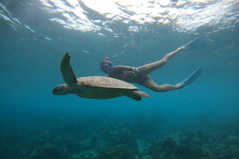 Gili Trawangan: Private Snorkeling 4 Spots Turtle with Gopro 2-hour Private Snorkeling Turtle Point with Gopro